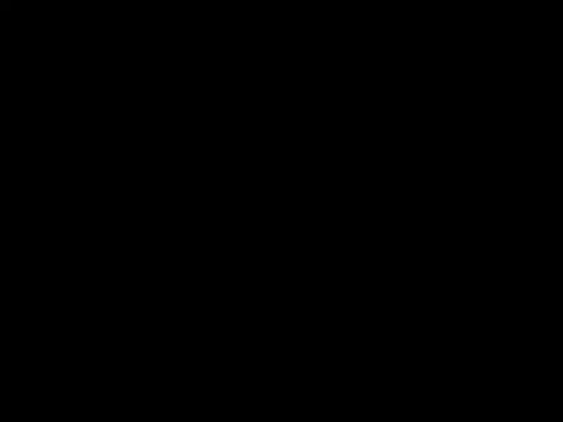 Queer Asylum Logo, words Queer Asylum inside larger stylized Q